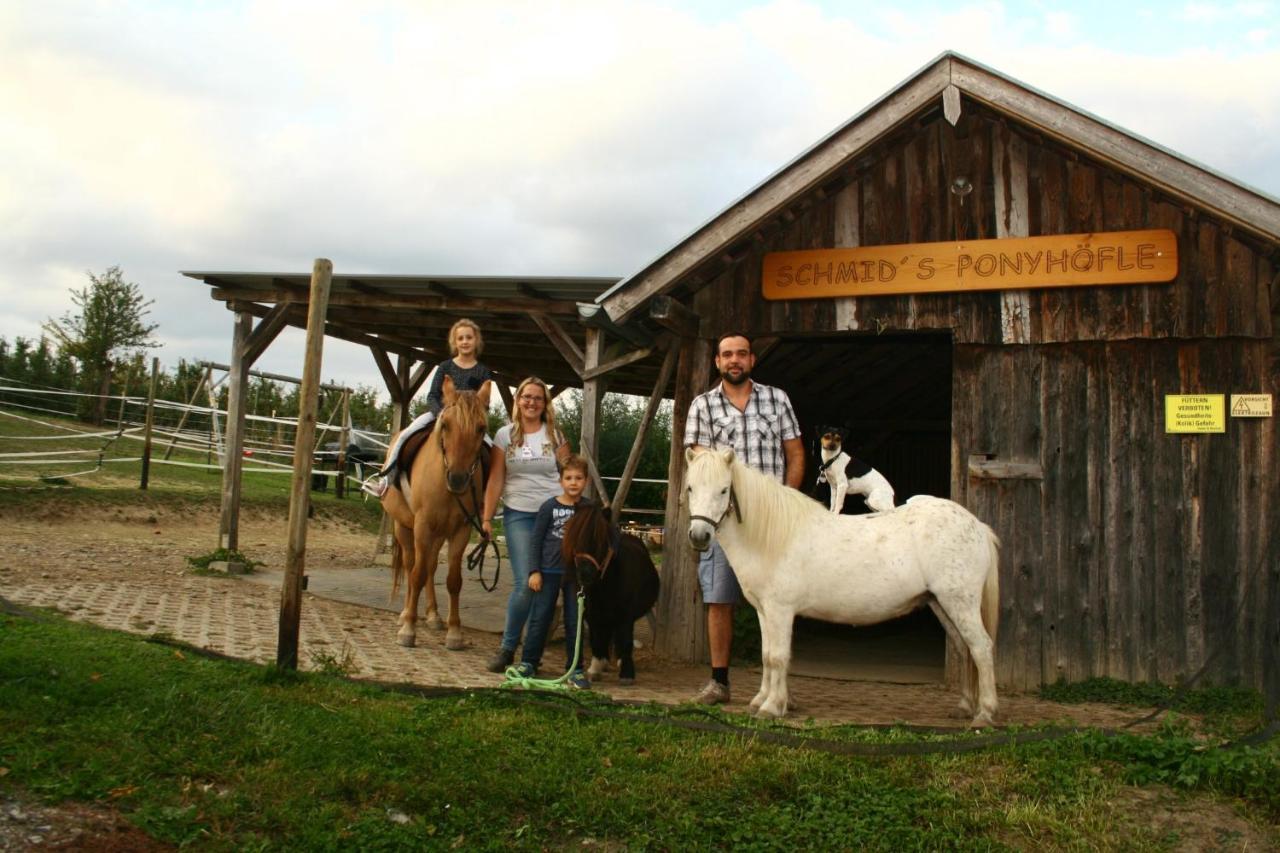 Schmid'S Ponyhoefle ฟรีดริชส์ฮาเฟน ภายนอก รูปภาพ